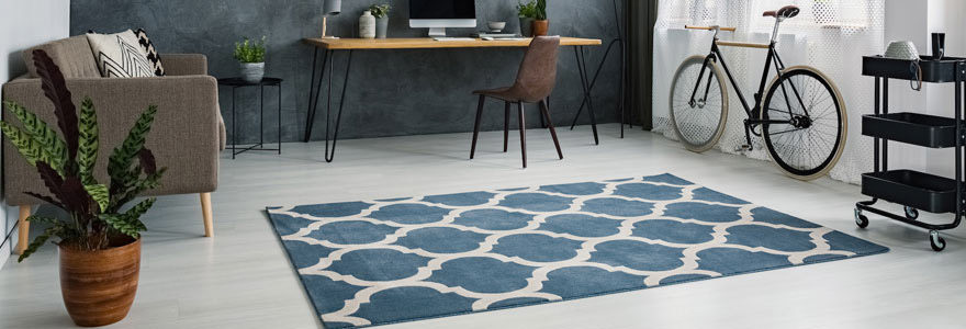 tapis de maison